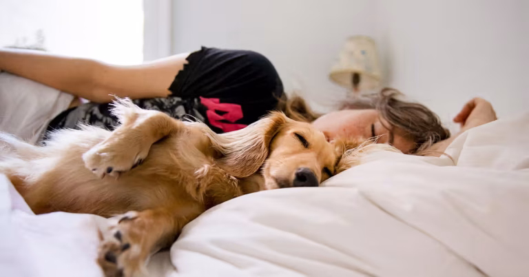 Why Experts Say Sleeping with Your Pet May Not Be the Best Idea